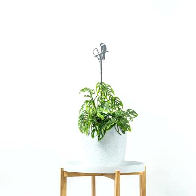 Golondrinas como tutores de plantas - METALBIRD